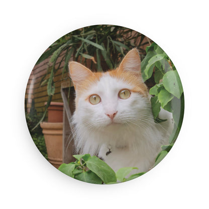 2.25-inch bespoke round button magnet featuring an example scene of a cat among green leaves. We transform your photos into unique art for the proud parent and their non-human family.