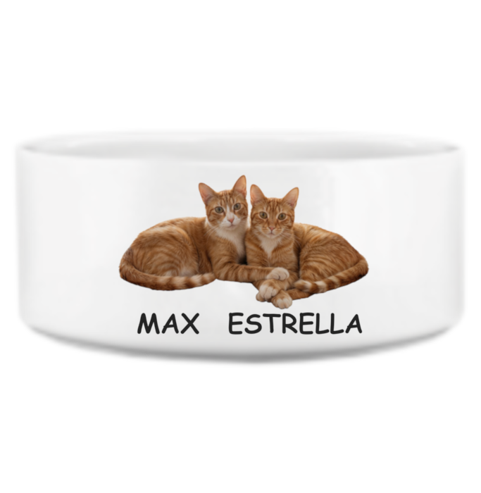 Bespoke ceramic pet bowl featuring an example scene of two cuddling cats, with their names, on a transparent background. We design unique, meaningful scenes for your non-human family that wrap around your custom bowl.