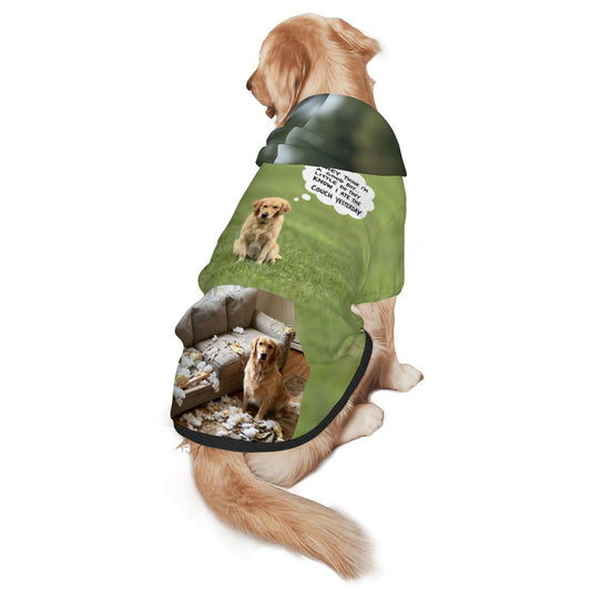 Bespoke medium to large dog hoodie with an all-over print featuring an example humorous scene of a dog and a destroyed couch. We transform your pet photos into unique art for the proud parent and their non-human family.