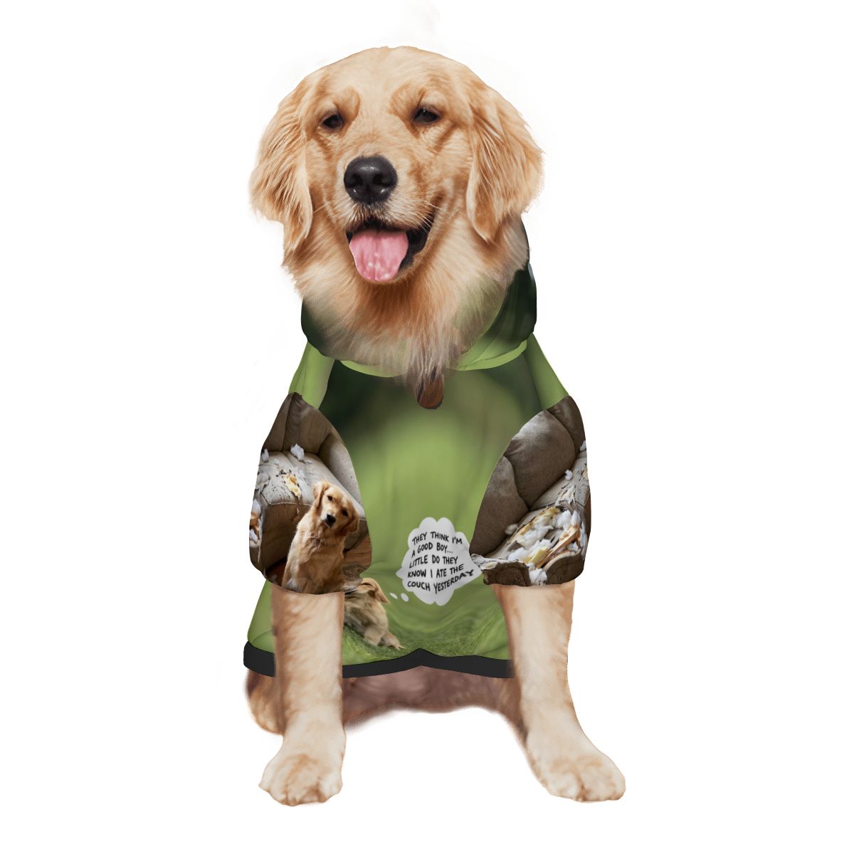 Front view of a custom-printed dog hoodie worn by a Golden Retriever to show the vibrant, all-over bespoke design. An example of a personally designed meaningful scene brought to life for your non-human family member.