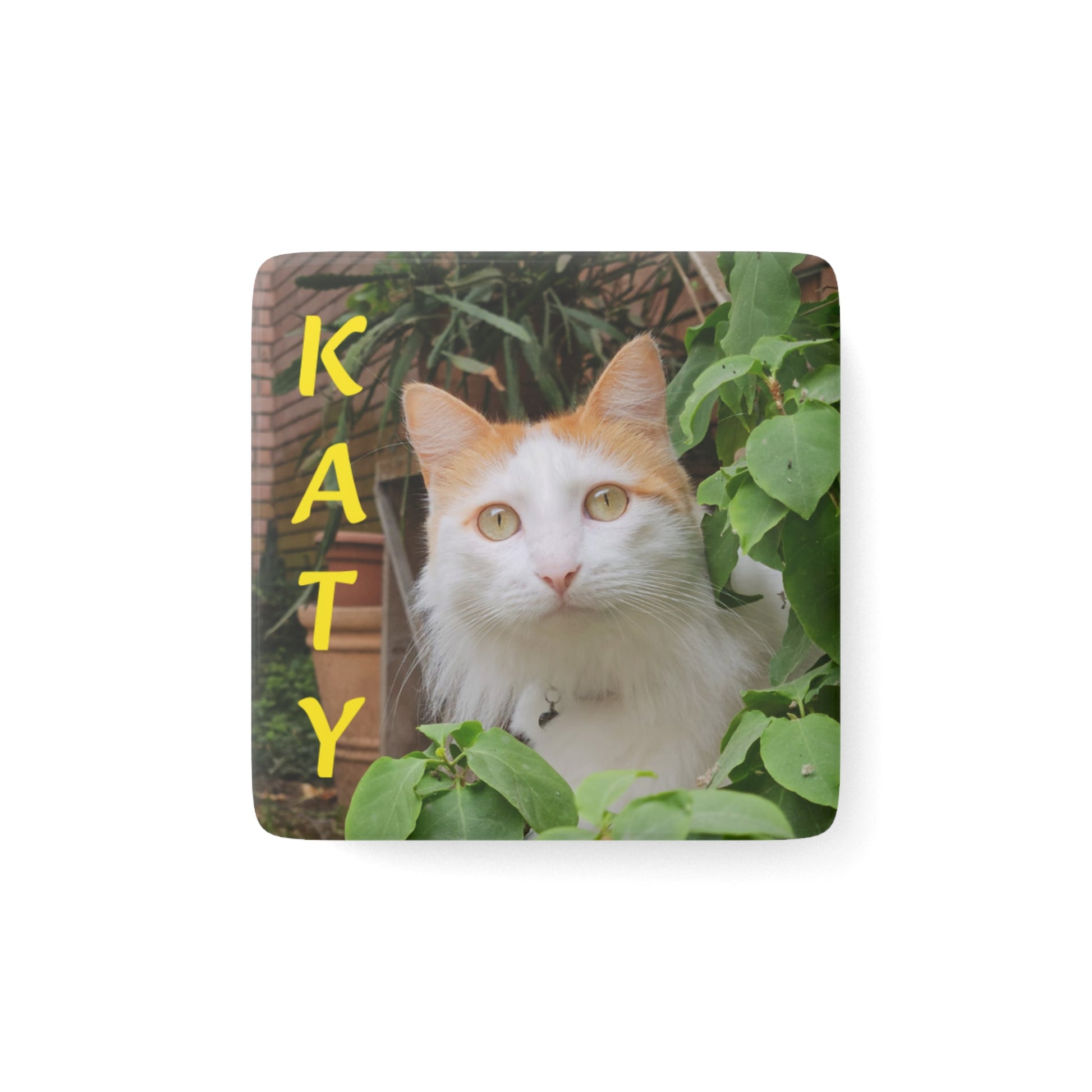 2"x2" bespoke porcelain magnet featuring an example scene of a cat named 'Katy'. We transform your photos into unique art for the proud parent and their non-human family.