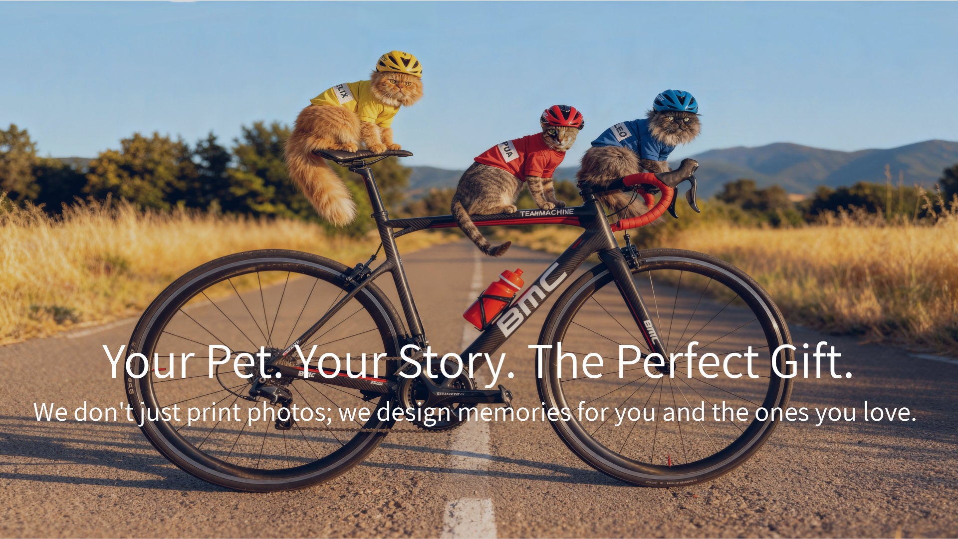 Main hero banner for Pawesome Petz showing a bespoke scene of three cats in cycling gear on a bicycle. High-quality custom art designed to transform your pet's photos into meaningful memories for your non-human family.